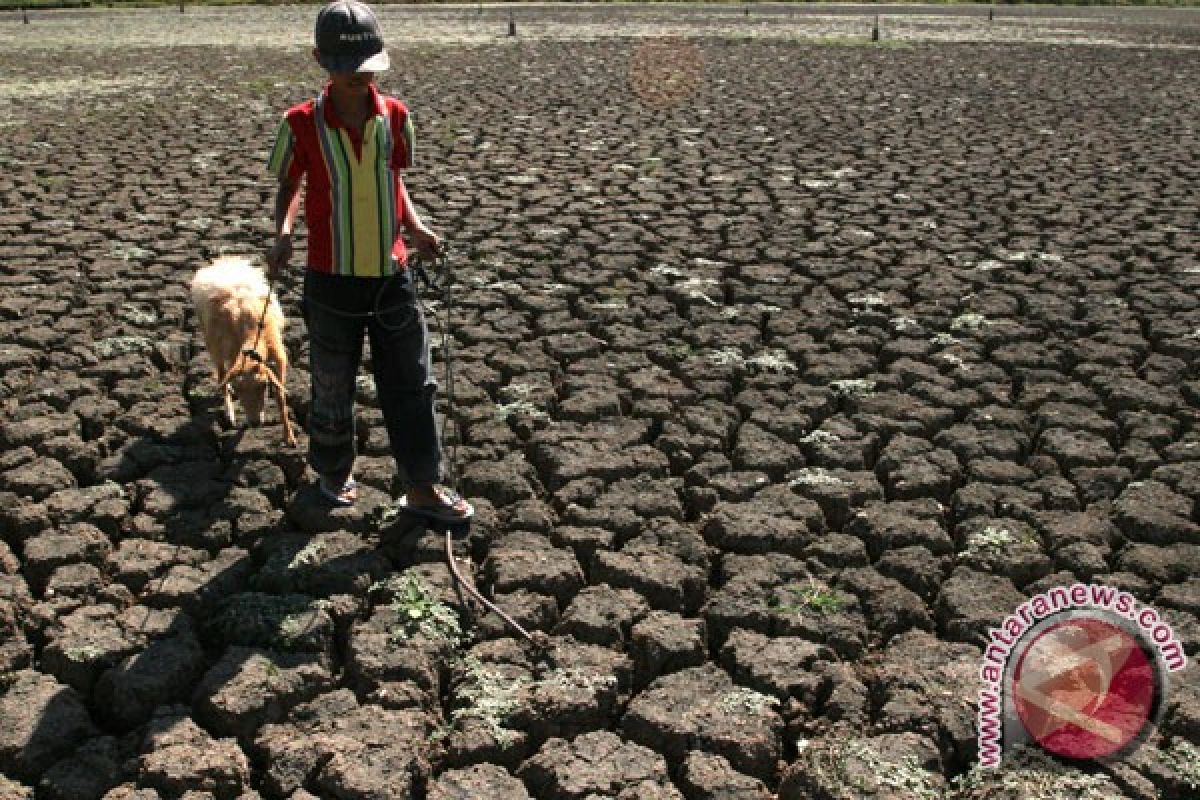 NTT Kemungkinan Kemarau Sampai November