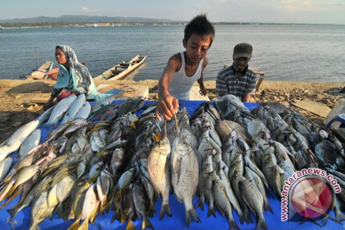 RI overnment to increase fish production in W. Sulawesi