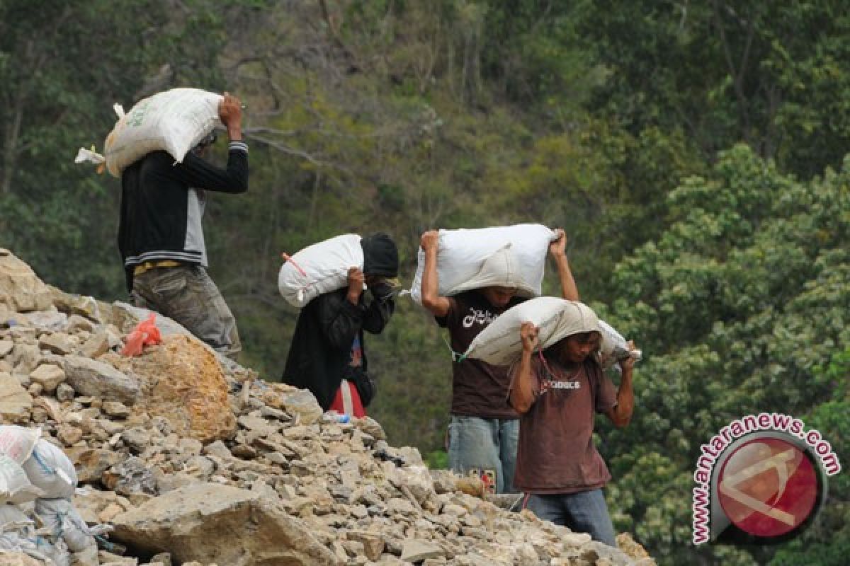 6.000 TKA serbu Sultra jadi pekerja tambang pasca-MEA