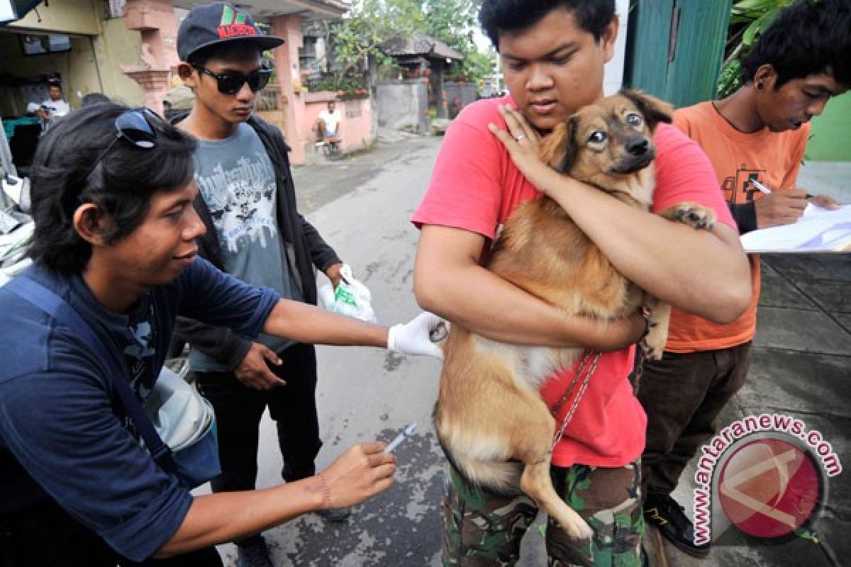 Puskeswan Curup laksanakan program vaksinasi hewan penular rabies