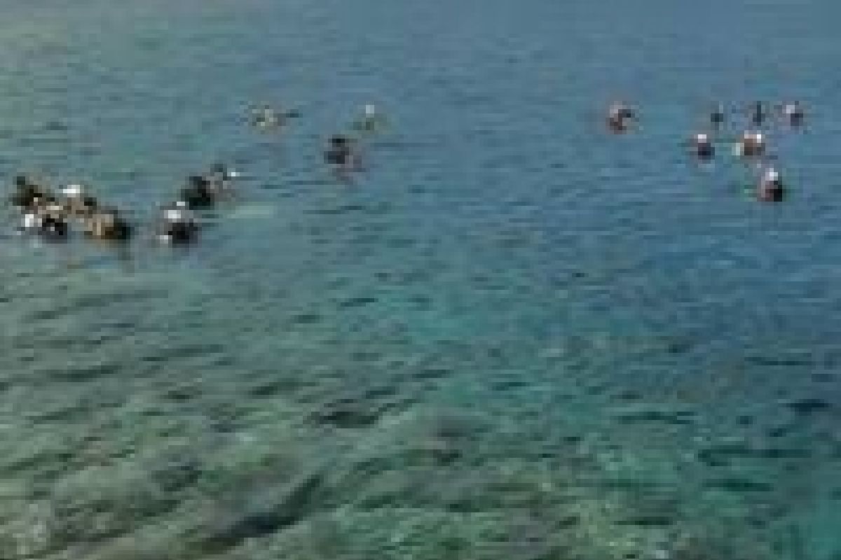 Dirjen: Pengibaran Bendera Bawah Laut Perlu Diformalkan