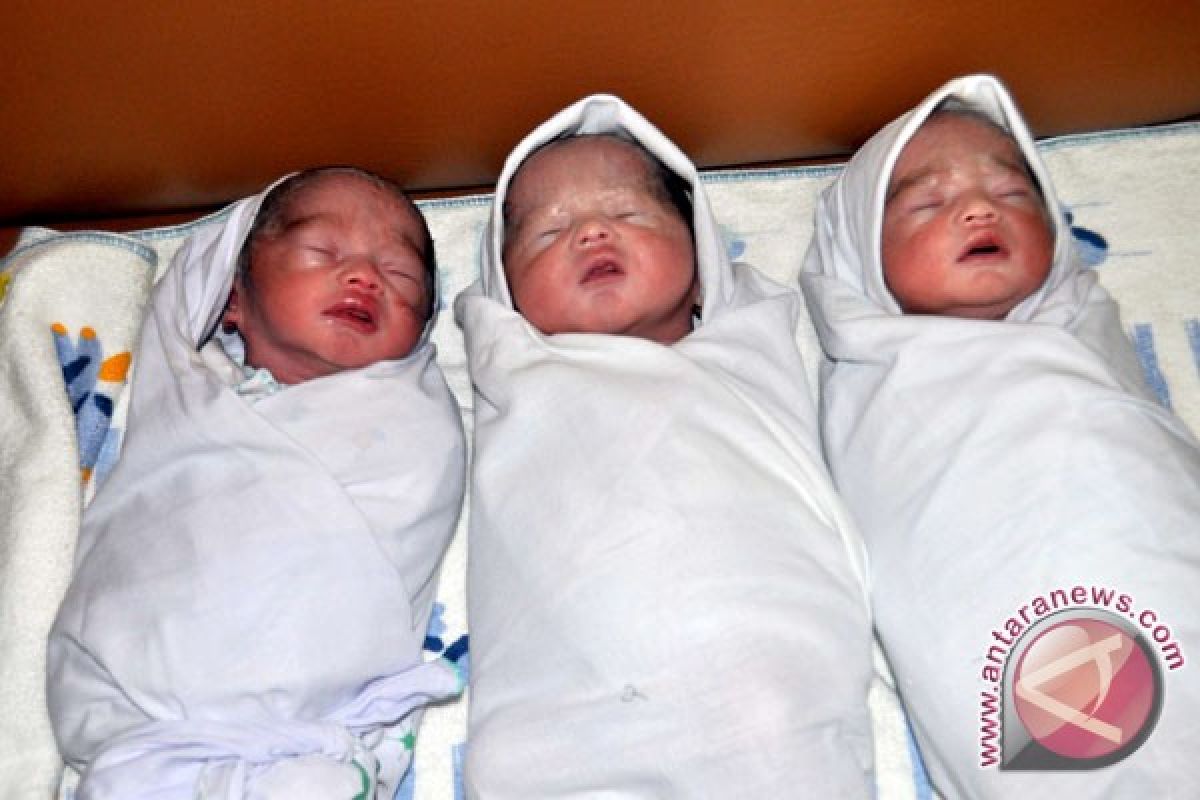 Bayi kembar tiga lahir di Semarang
