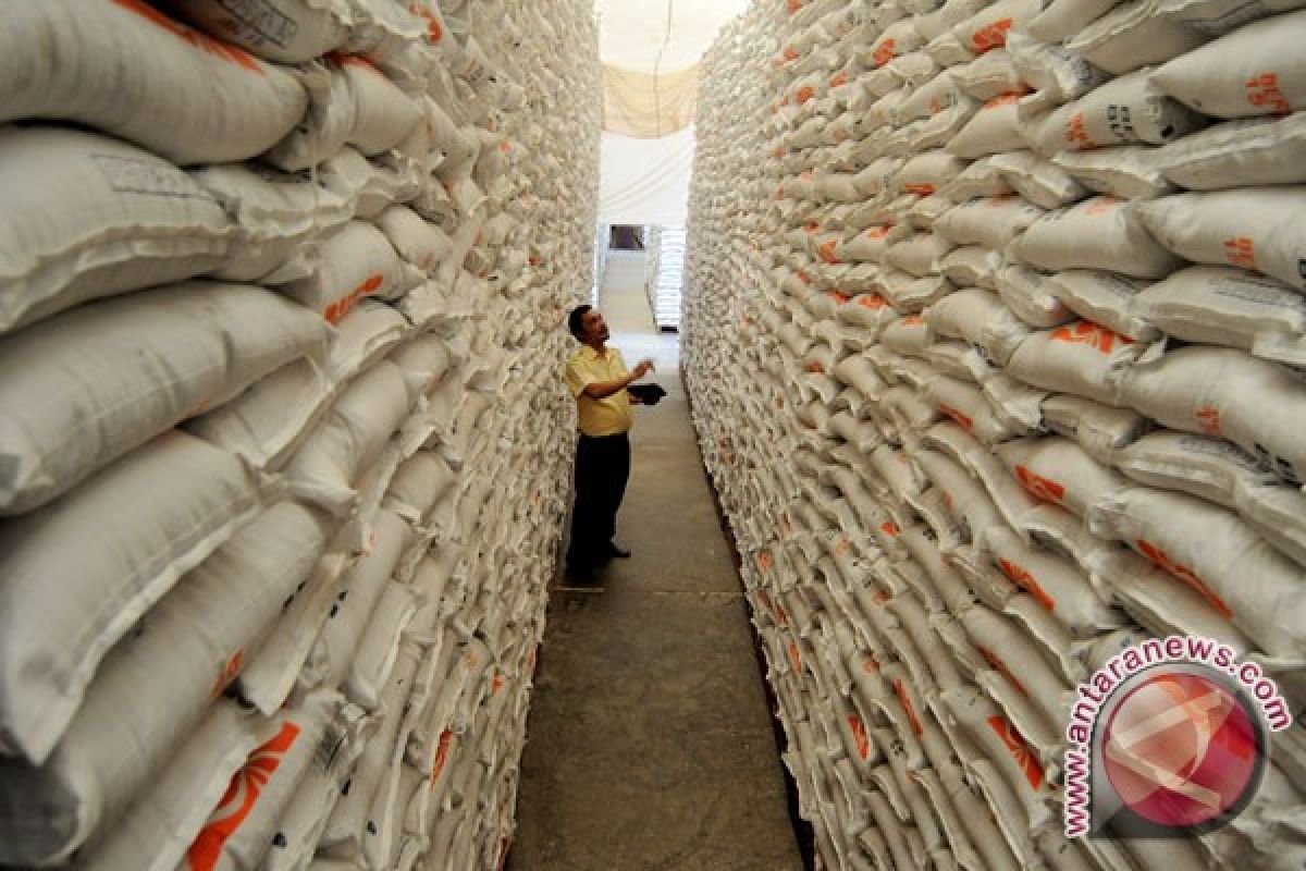 Sumbar targetkan surplus 600 ribu ton beras 