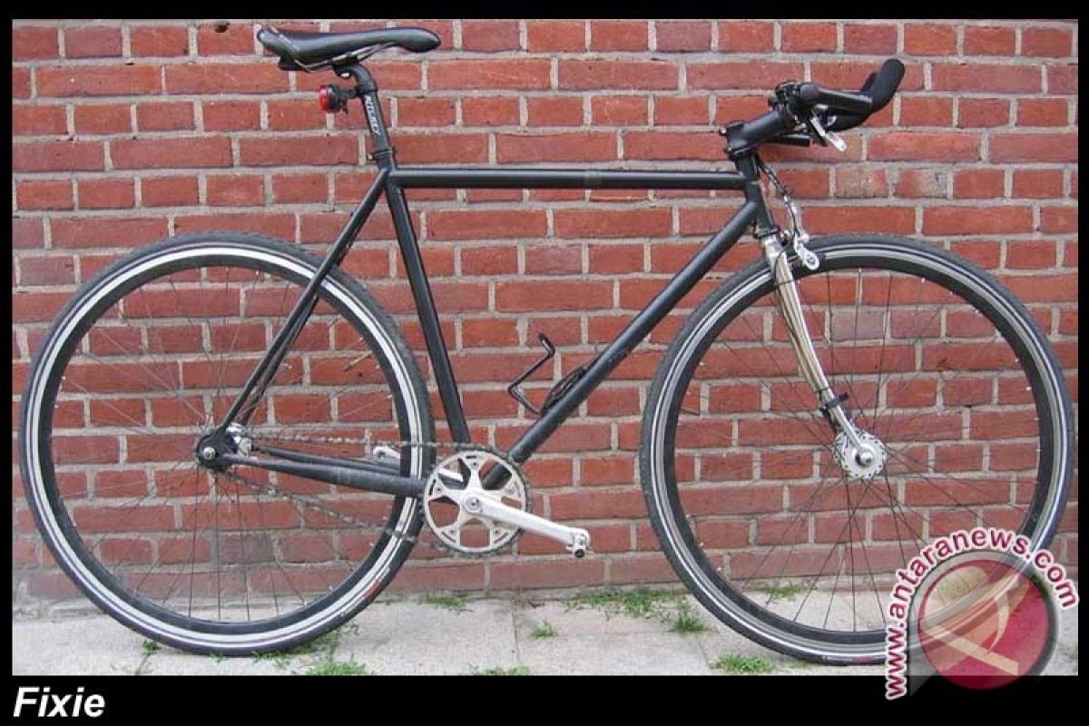 Sepedah fixie best sale