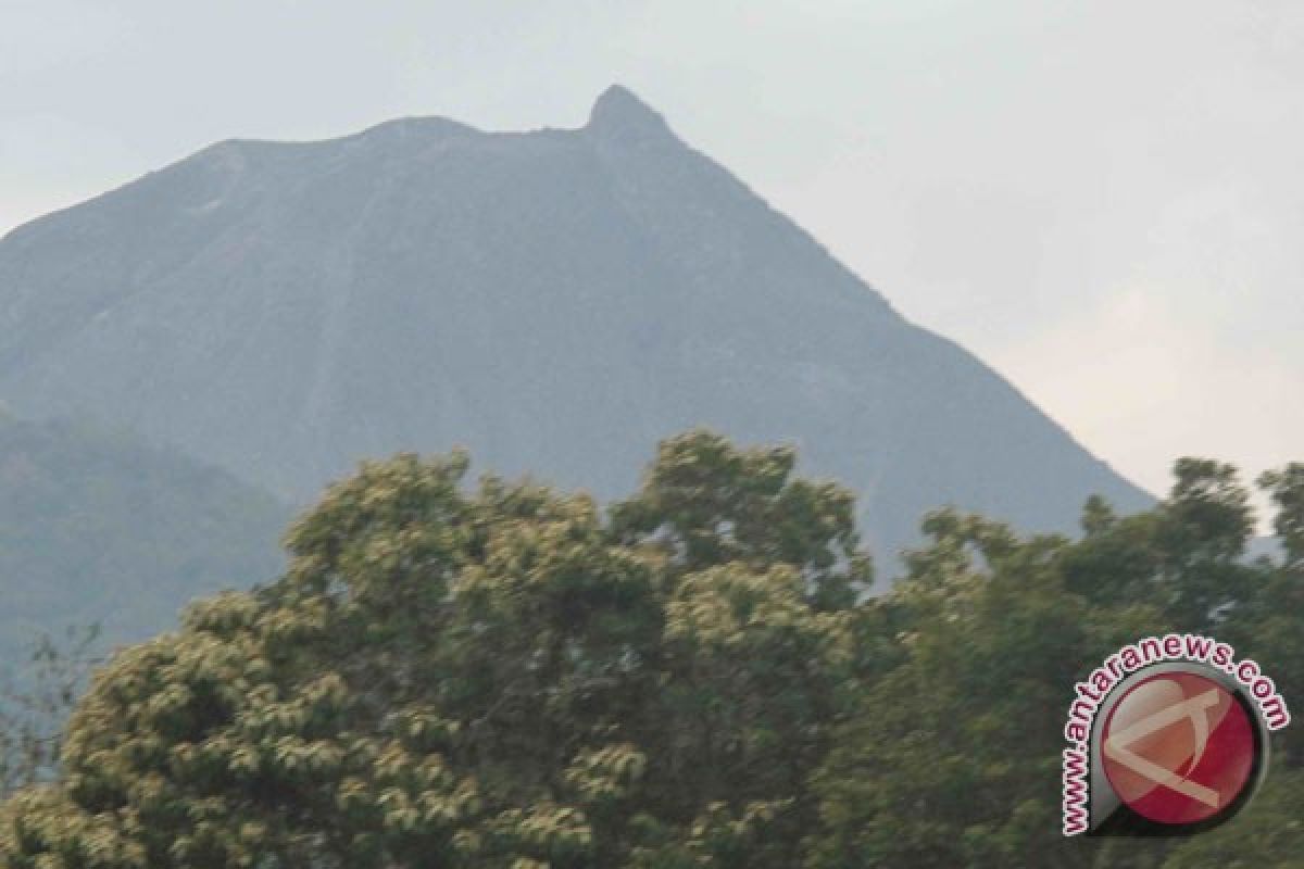 Gunung Lewotobi Perempuan hembuskan asap 50 meter