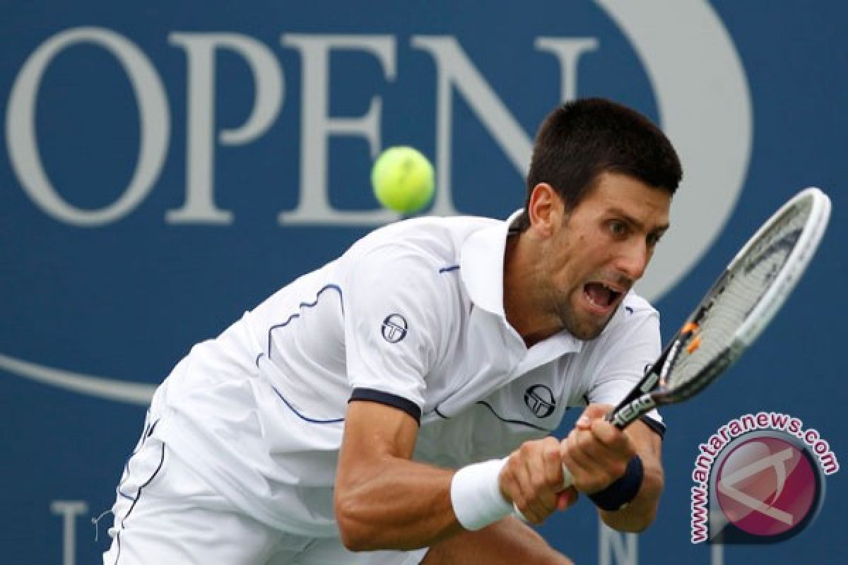 Djokovic hadapi Nalbandian di semifinal piala Davis 