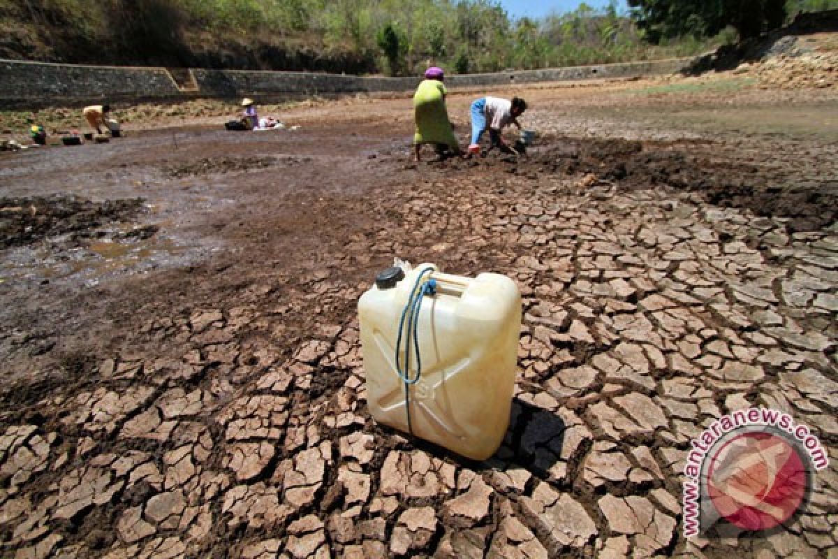 Kekeringan mendorong petani rebutan air