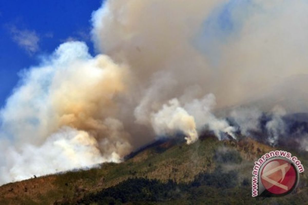 Forest fire in Mt Sumbing forest spreads to wider area