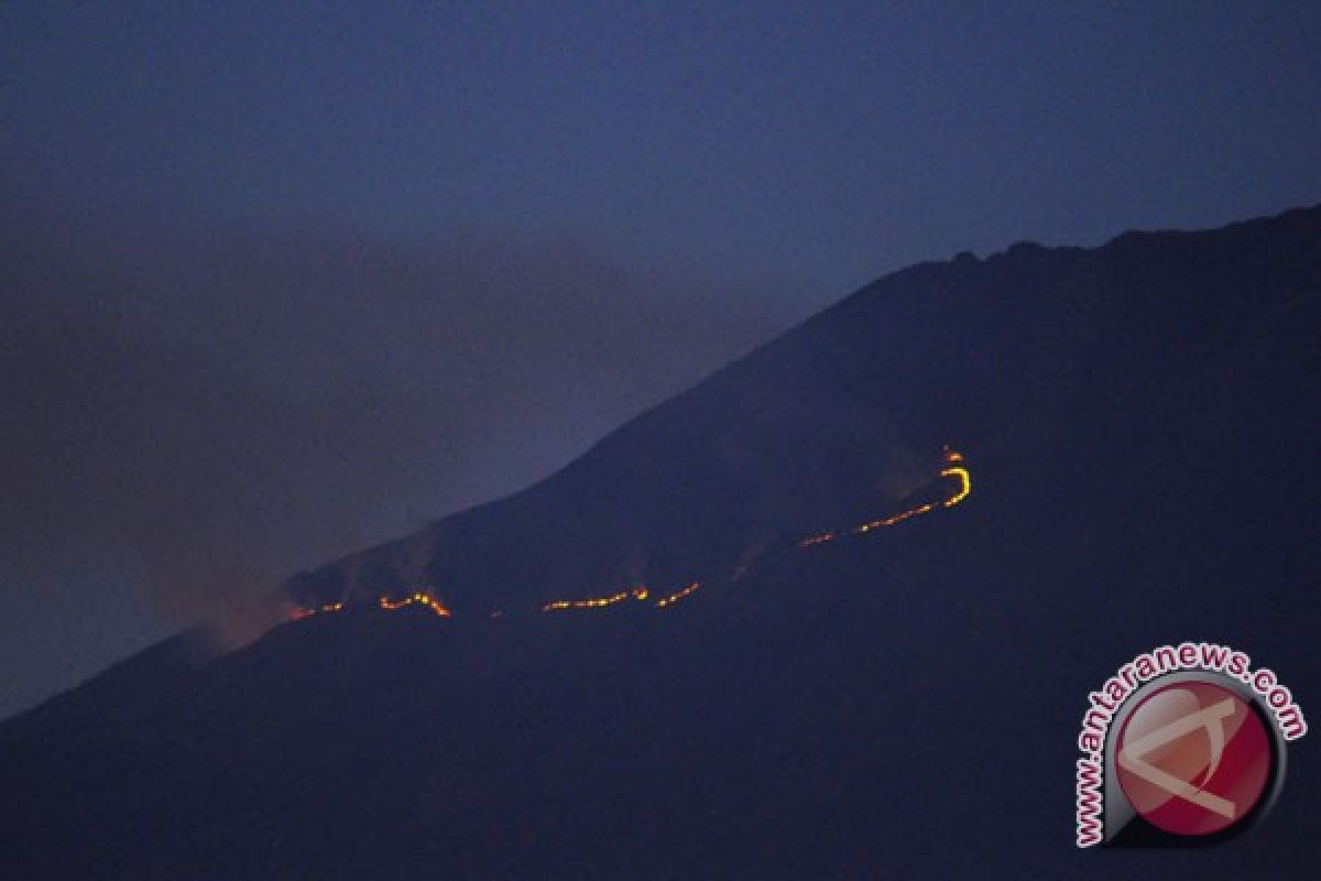 Luas hutan terbakar di Sumbing 42 hektare