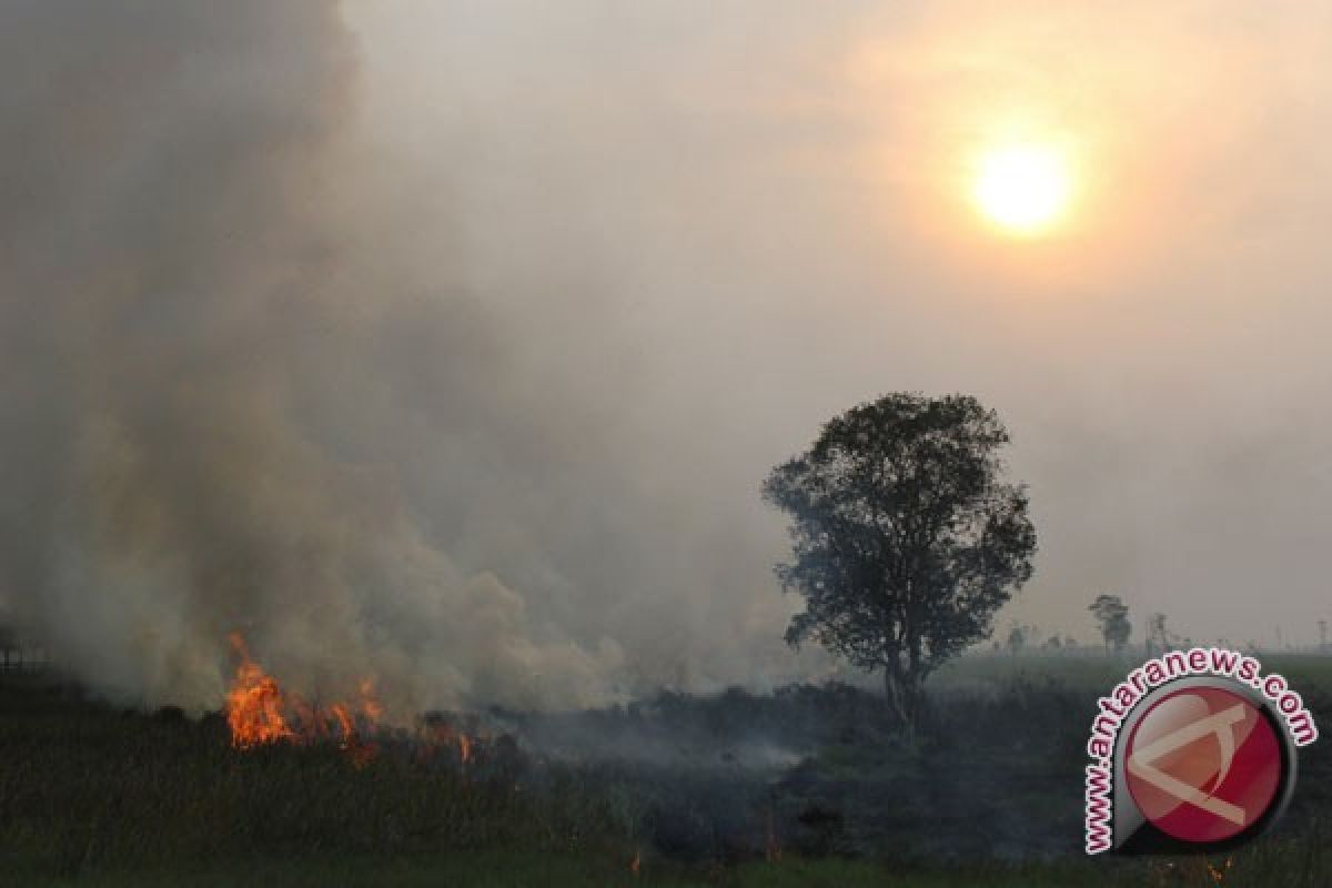 Ada 204 titik api di Sumatera
