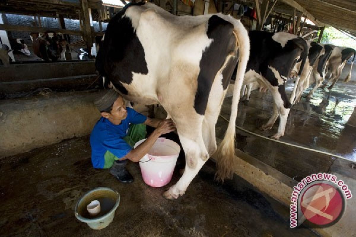 Susu anak sekolah kurangi ketergantungan industri 