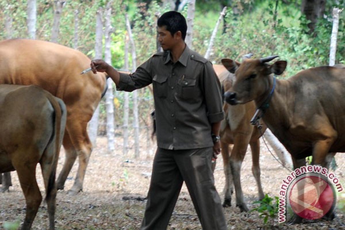 Gawat, AS akui pembobolan sampel virus berbahaya