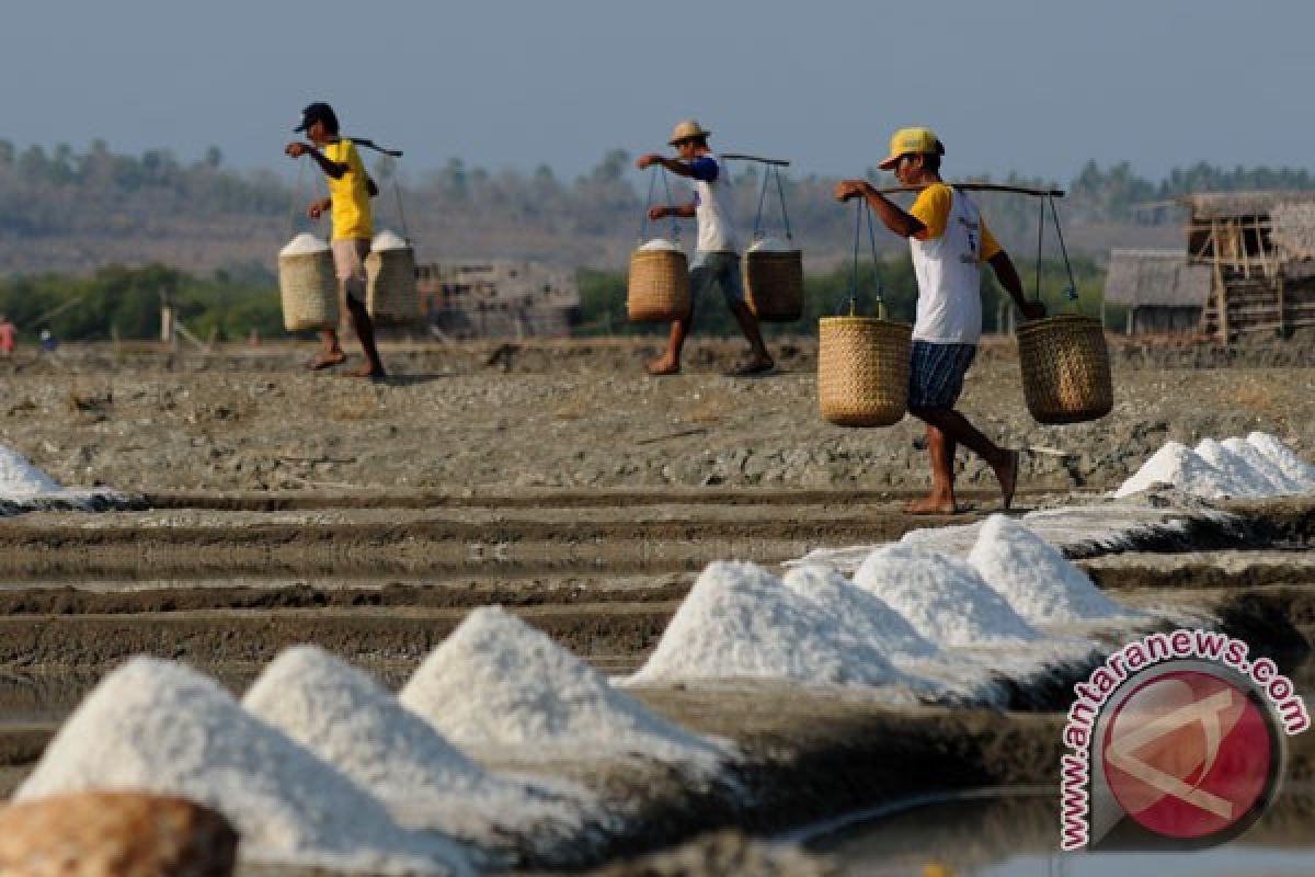 NTT siapkan 9.000 hektare padang garam