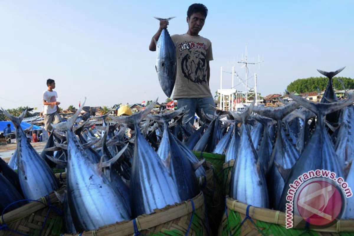 Indonesia's fishery imports declining