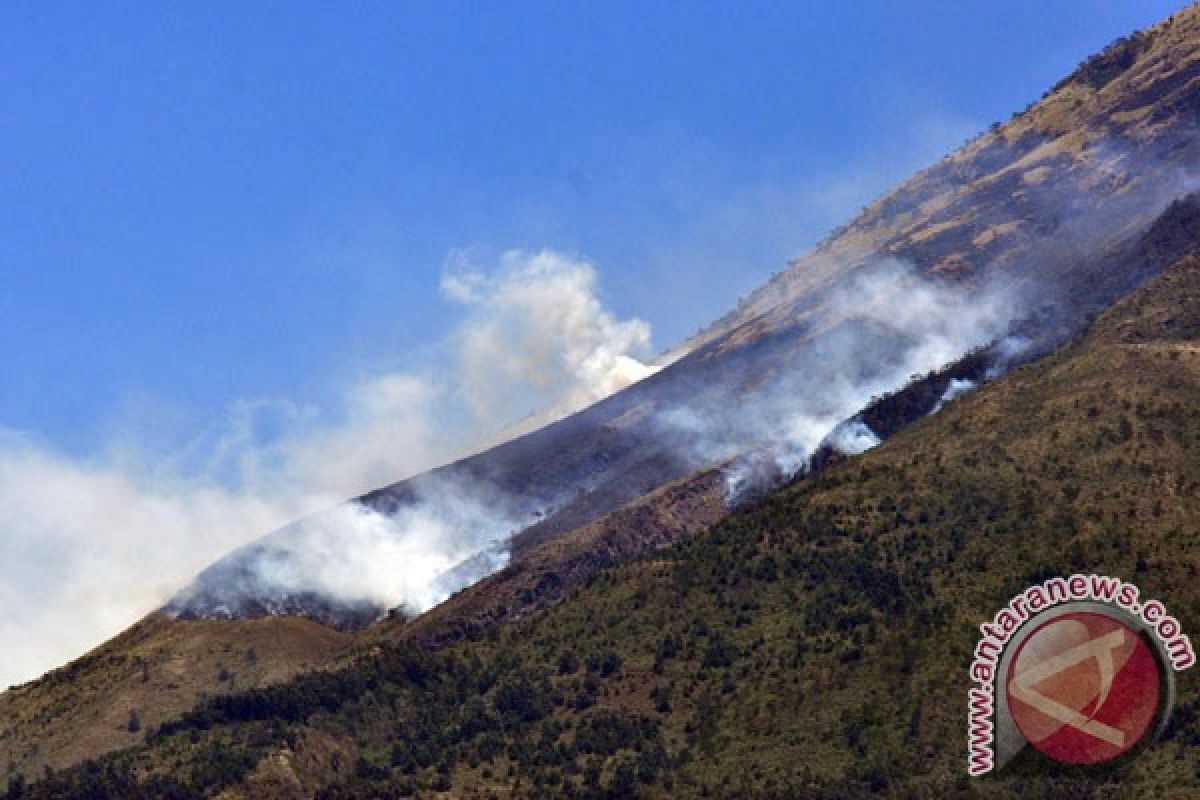 Gunung Sindoro ditutup