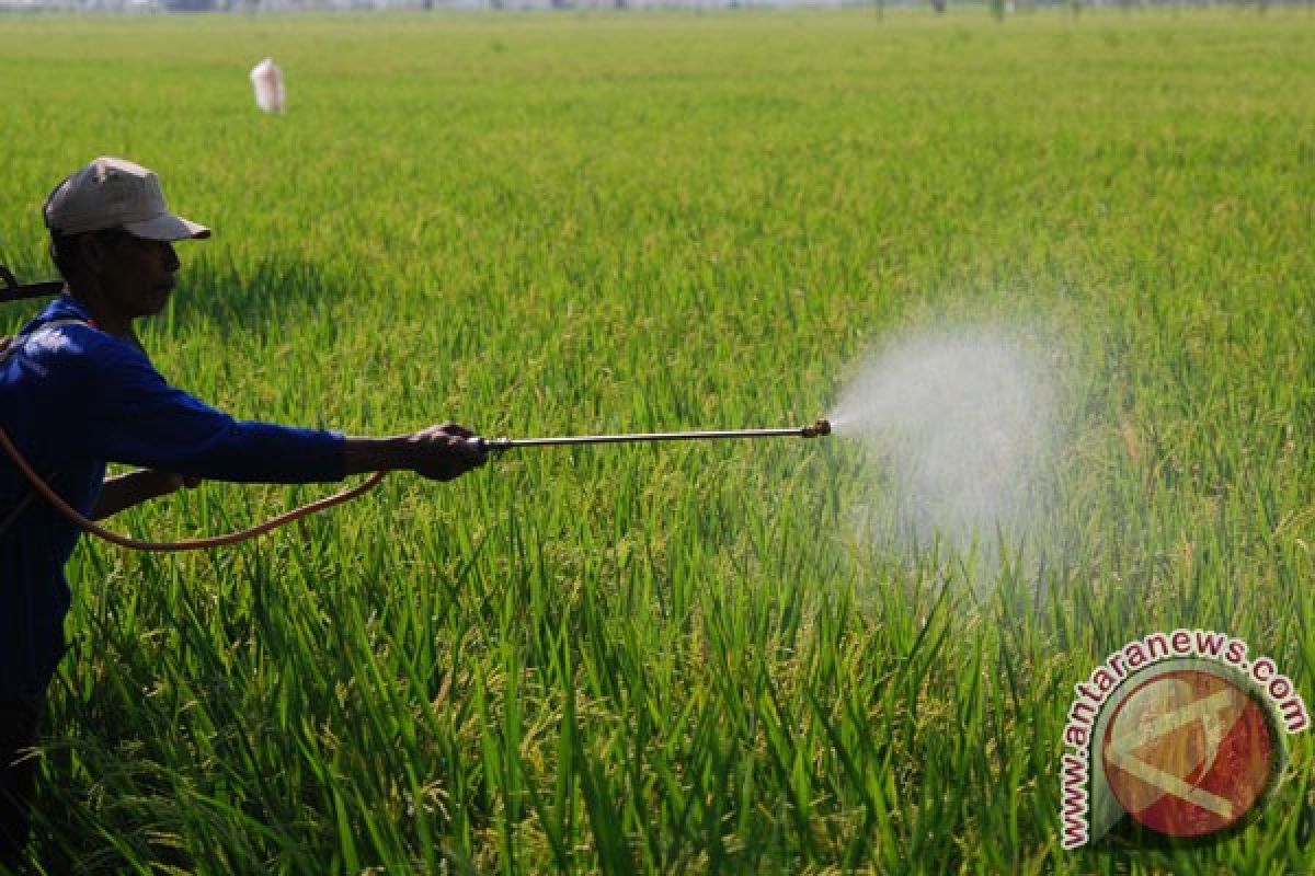 Petani tuntut pemerintah konsisten laksanakan program PKL