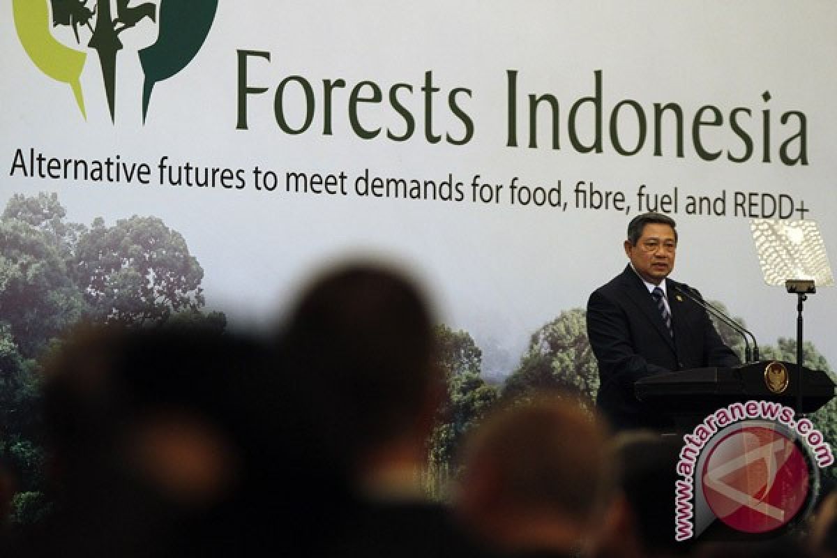 Masa jabatan terakhir SBY bagi melestarikan hutan