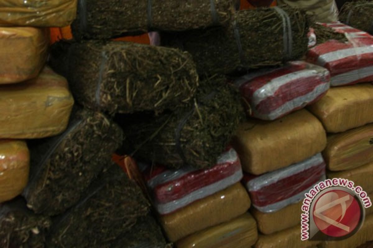 Polisi sita 1,562 ton ganja dan sabu 