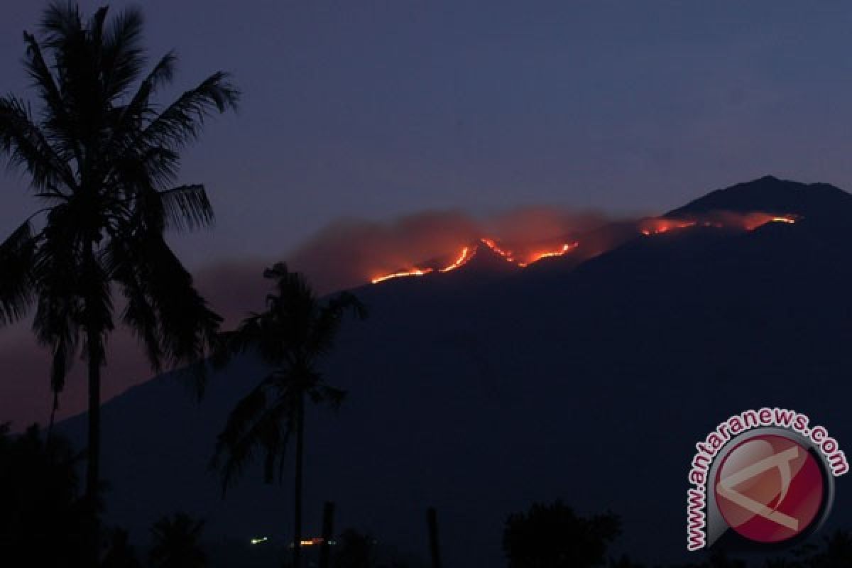 Lereng Merbabu Boyolali terbakar 