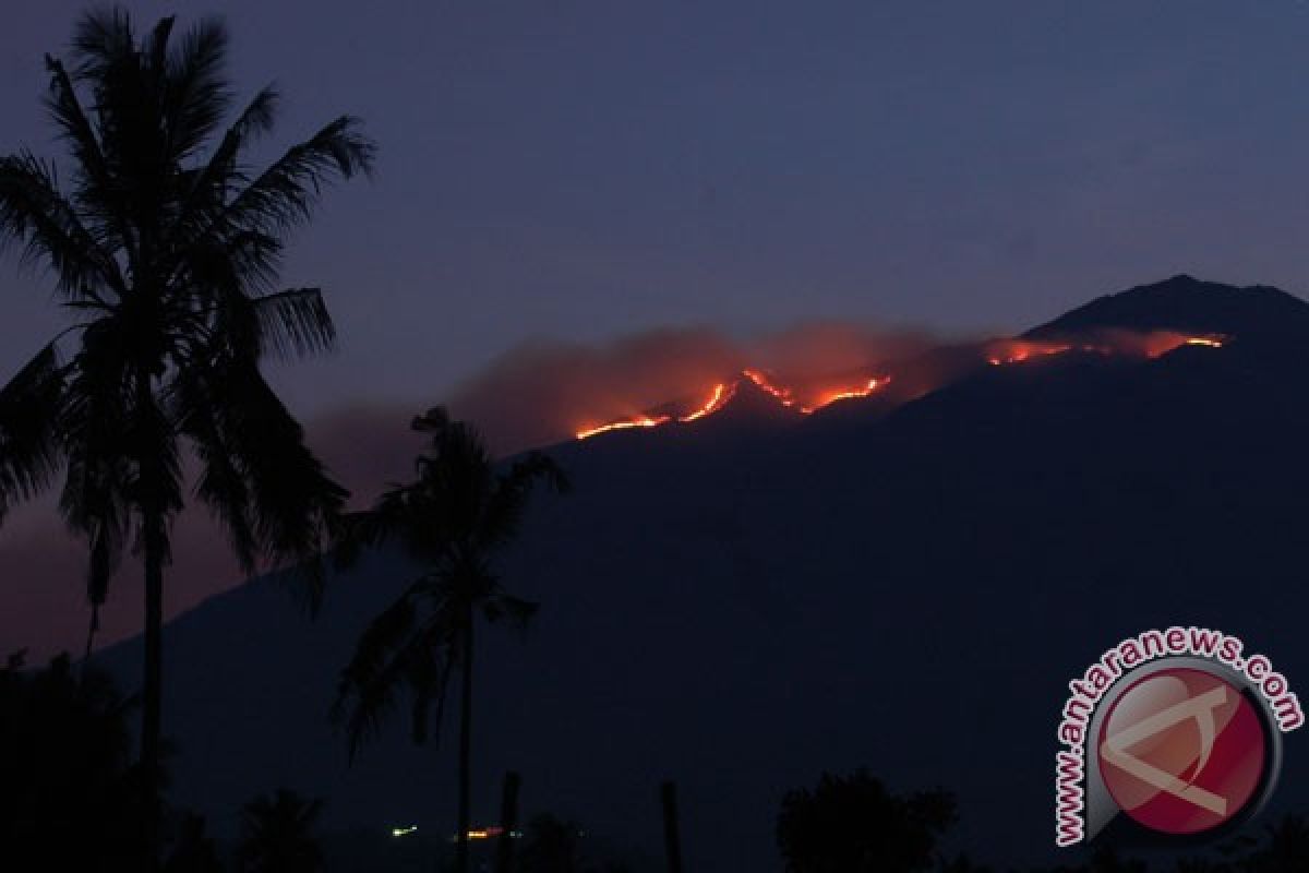 Hutan Taman Nasional Gunung Merbabu terbakar