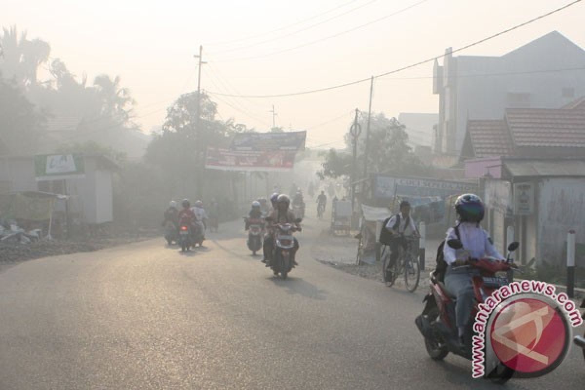 4 helikopter padamkan 5 hektare lahan terbakar di Kalsel