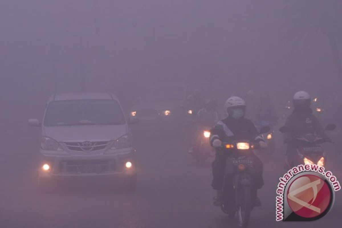 Hujan deras lenyapkan kabut asap di Sampit