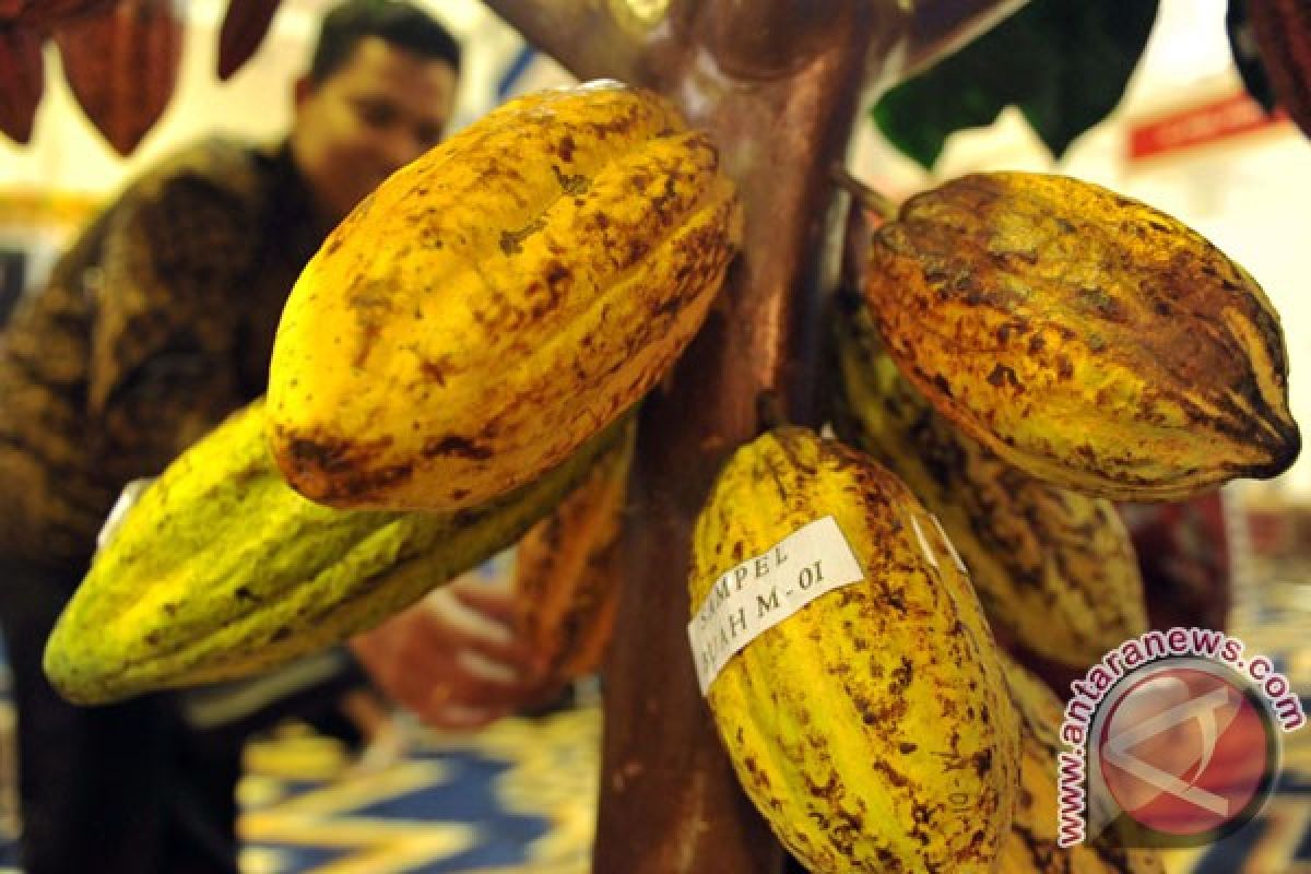 Indonesian govt sets 2014 cacao production target at 1.1 million tons