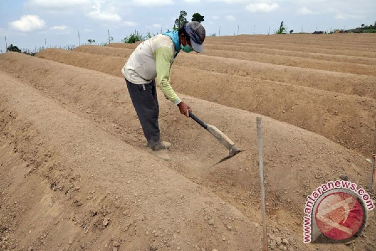 Pemerintah diminta beri asuransi petani akibat iklim 