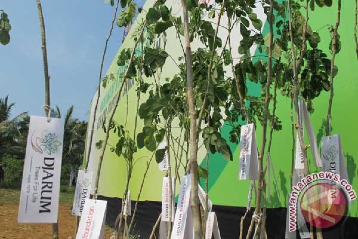 58 sekolah di Yogyakarta jadi "Green School" 