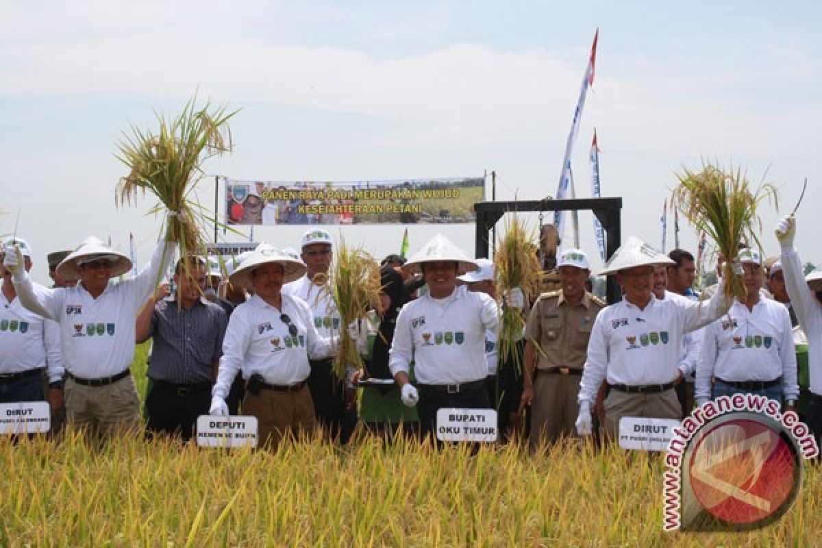 Program GP3K panen perdana di Belitang Sumsel 