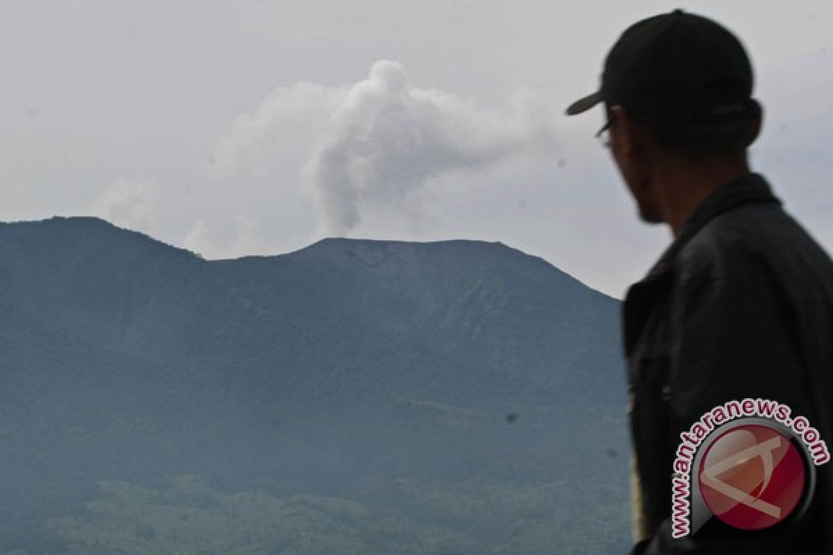 Kabut selimuti Gunung Marapi