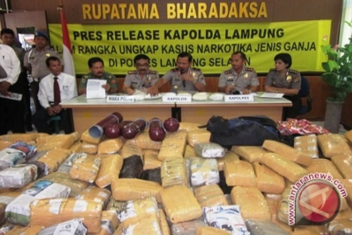 Polisi Sita 1,5 Ton Ganja dan Enam Kilogram Shabu