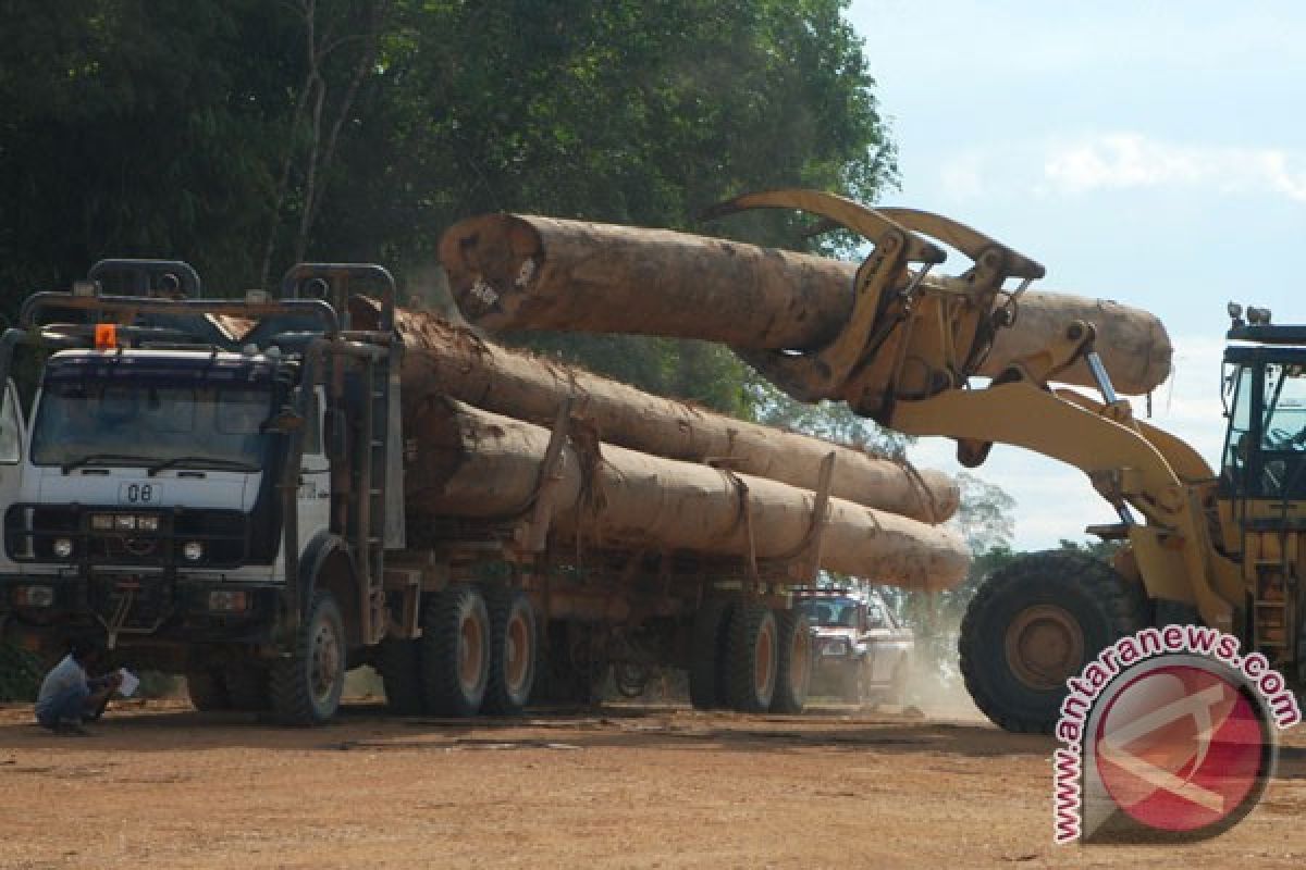 Peneliti: indonesia miliki 4.000 jenis kayu 