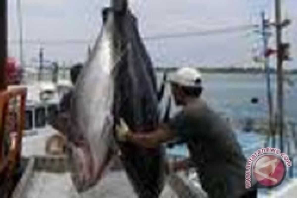 DPR RI : Perikanan Sulut Belum Over Fishing