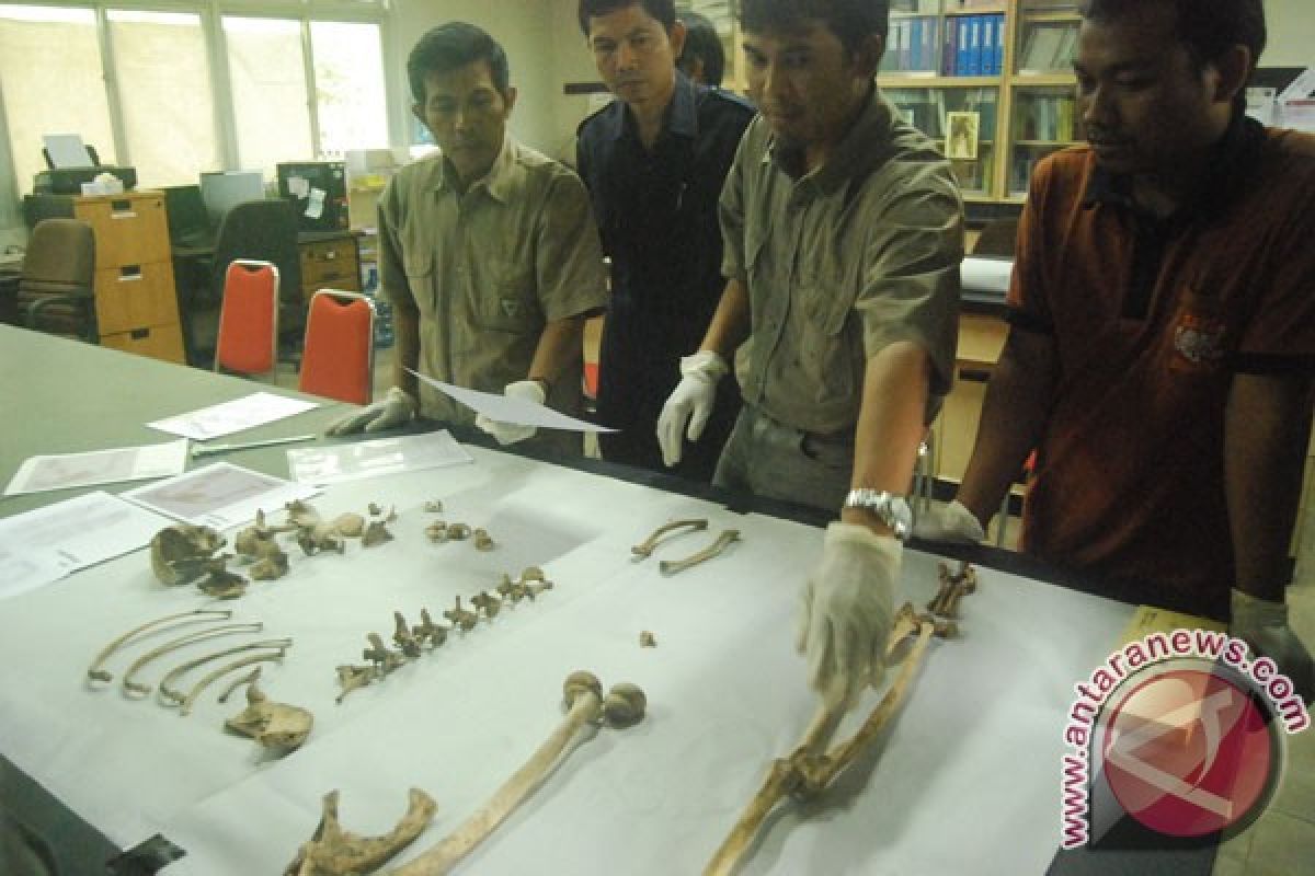 Three men named suspects for slaughtering orangutans 