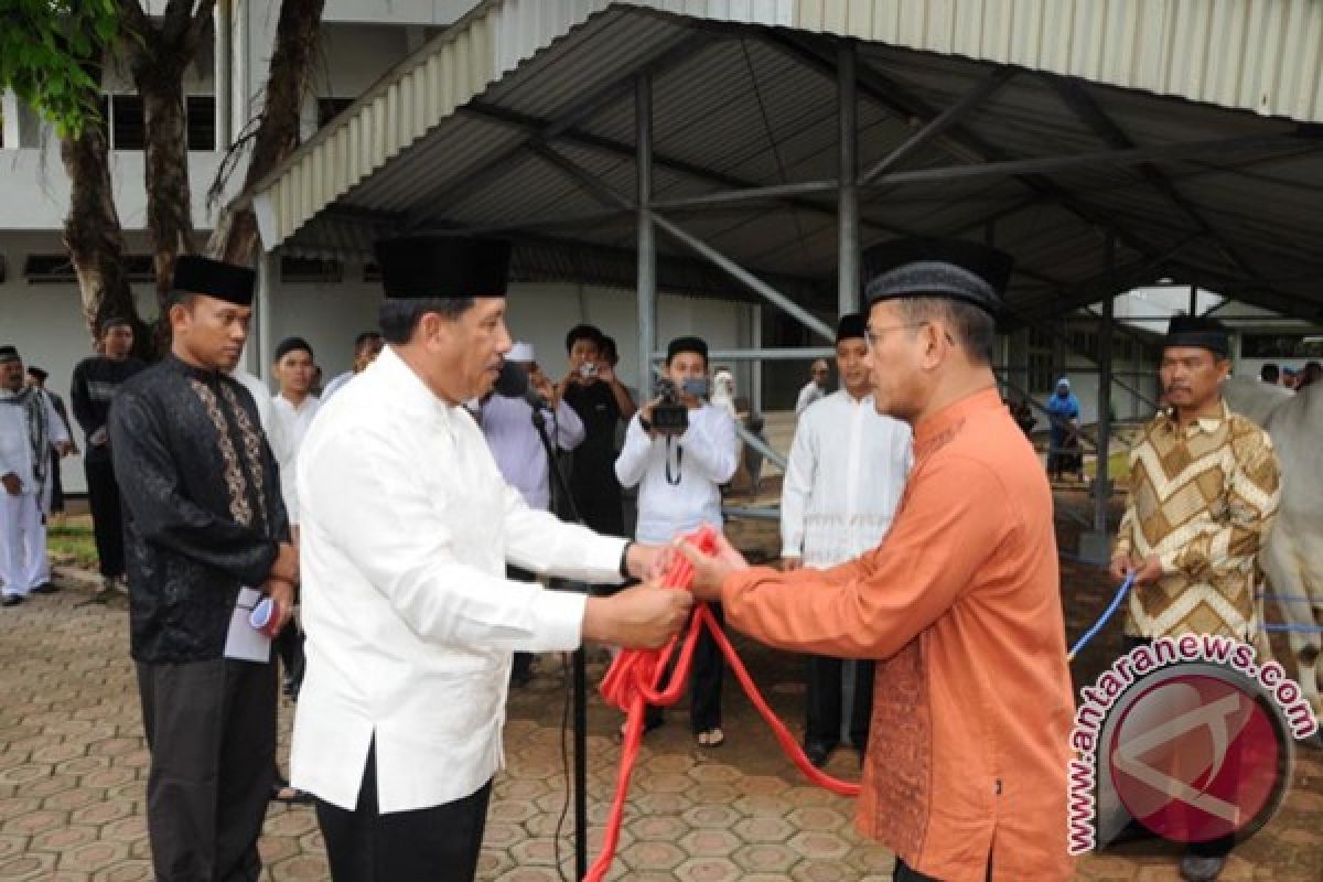 Panglima TNI serahkan hewan kurban secara simbolis