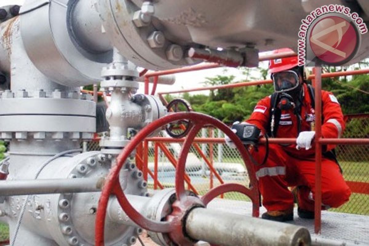 Pertamina to increase gas supplies to Pupuk Kujang