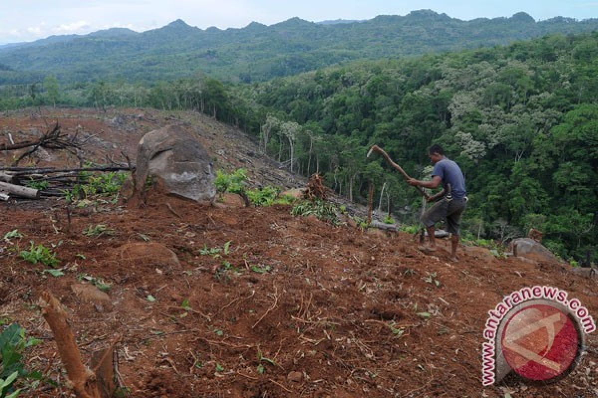 Sektor perkebunan perlukan investasi Rp57,31 triliun