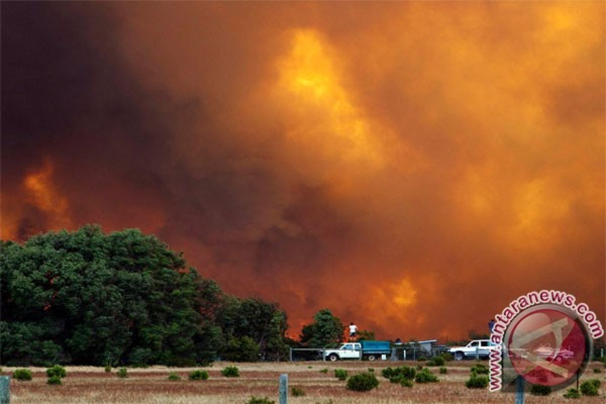 Petugas  Australia padamkan kebakaran hutan, ribuan warga Perth ngungsi