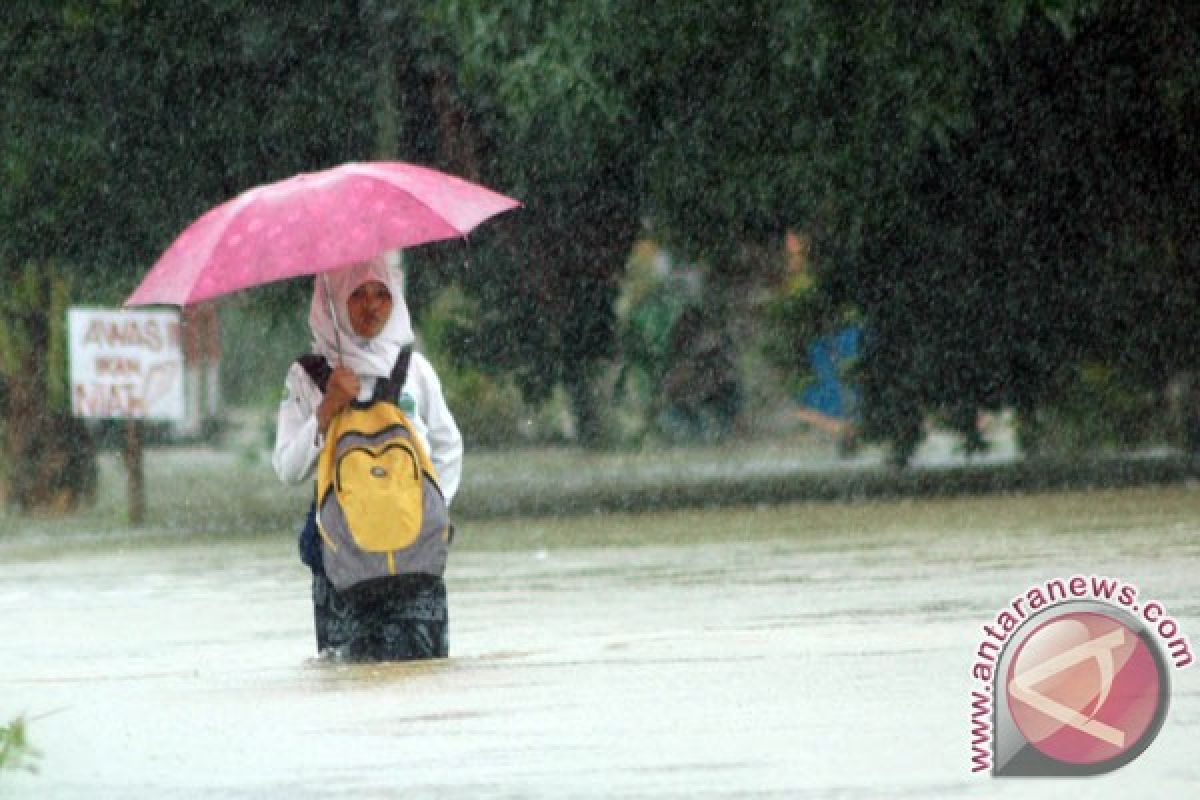 Badai tumbangkan empat pohon di Padang