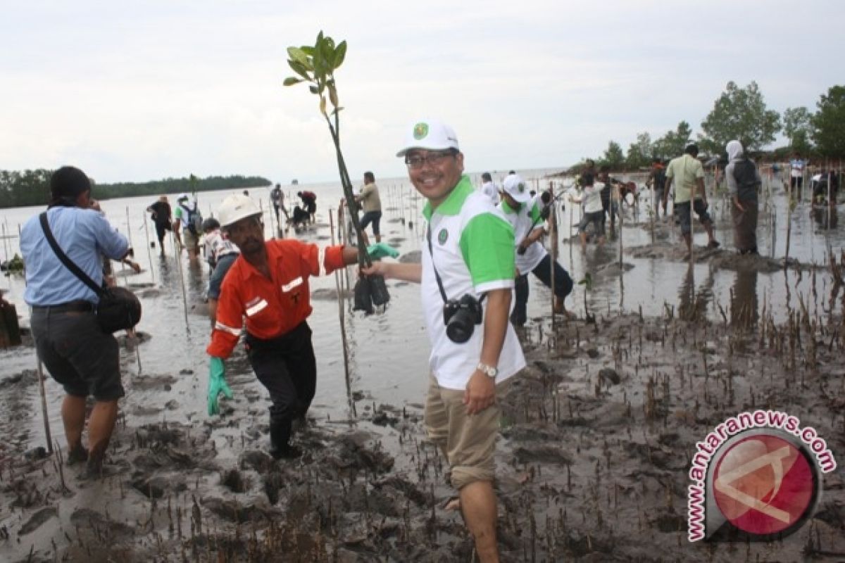 KPC Tanam Tiga Ribu Pohon Mangrove