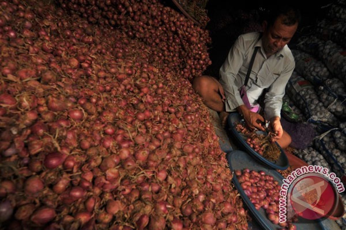 Asosasi petani bawang merah akan mengadu ke DPR