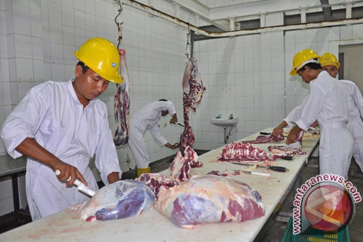 Stok daging sapi selama Ramadhan di NTB aman