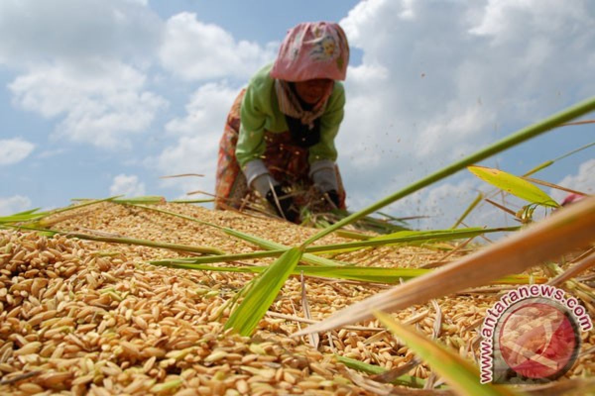 Kaltim targetkan 200 kampung iklim