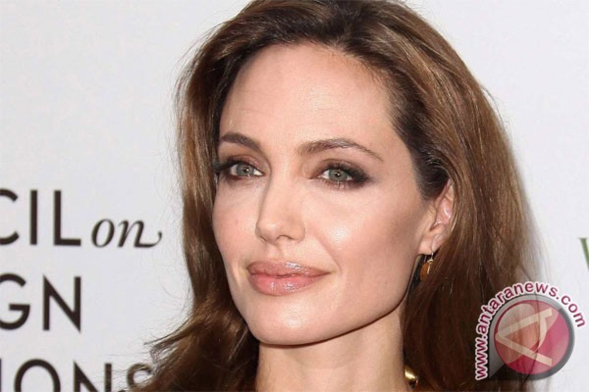 Angelina Jolie kunjungi kamp pengungsi Suriah di Turki