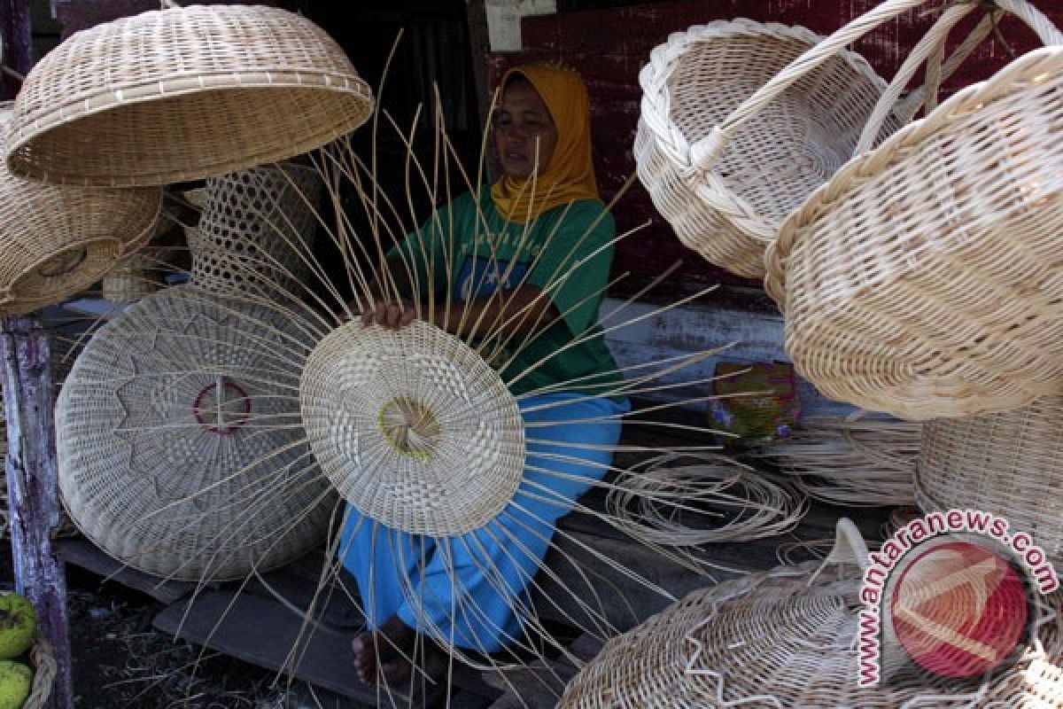Farmers asked to process rattan to get warehouse receipts