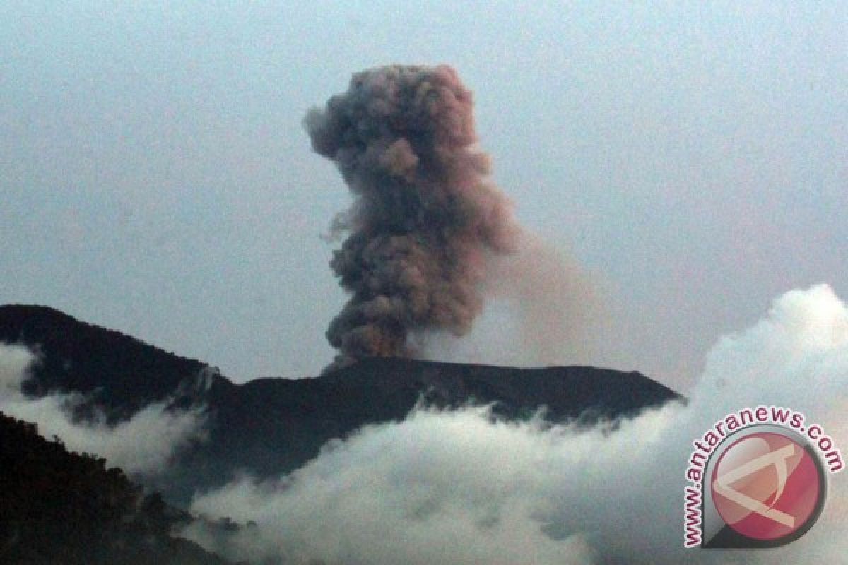 Gunung Marapi kamis pagi semburkan abu vulkanik