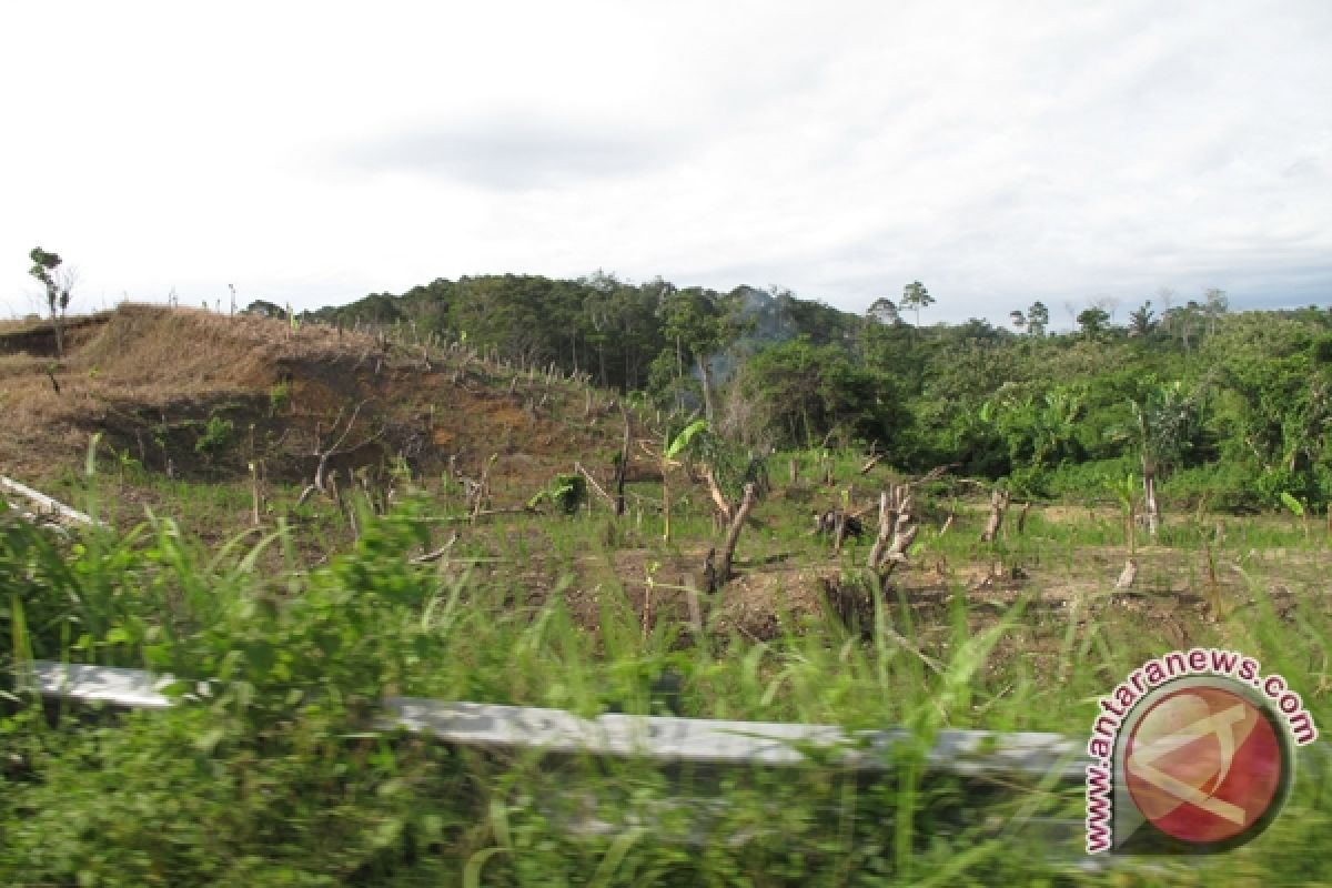 76 Persen Hutan Lindung Batutegi Rusak