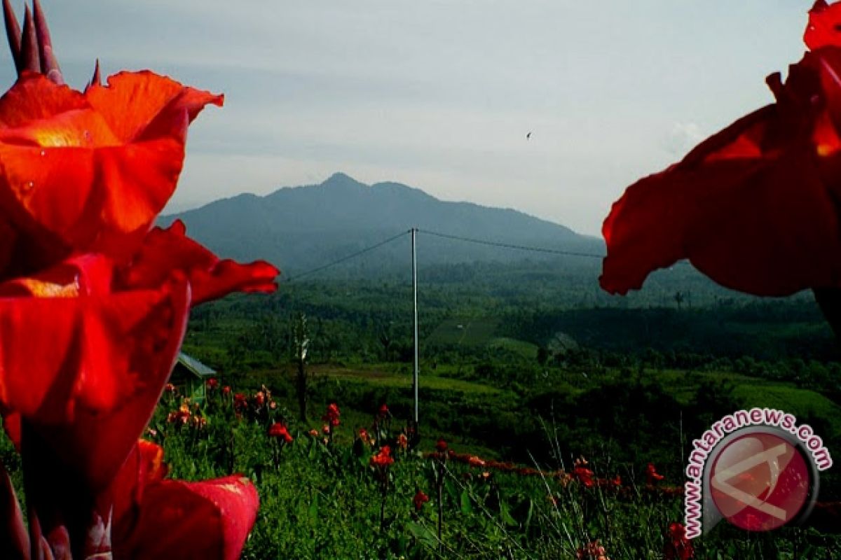 Tapal batas hutan lindung Bukit Basah belum ada