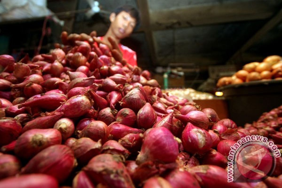 Keuntungan konsumsi bawang merah mentah